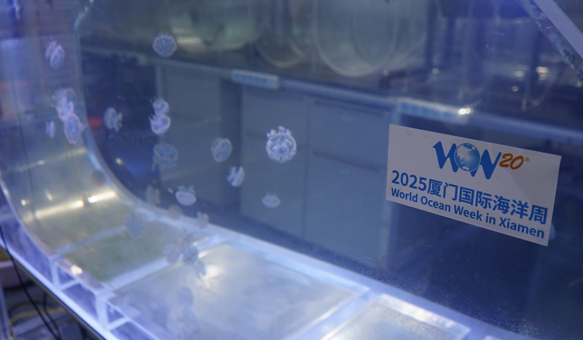 1764040612890223.jpg 02.jpg